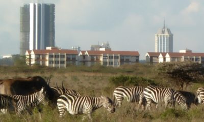 Nairobi National Park.