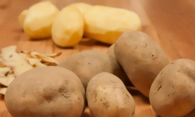 Potatoes insulation and acoustic absorbers.