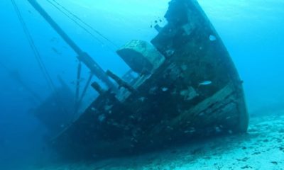 Ngomeni shipwreck