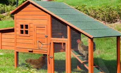 A chicken house.