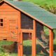 A chicken house.