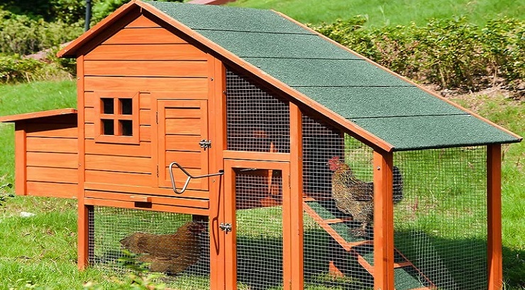 A chicken house.