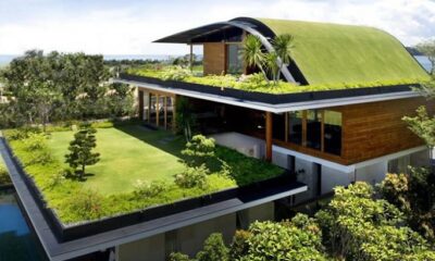 A rooftop garden