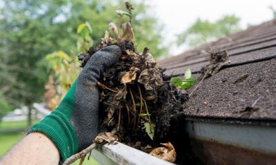 clogged gutter