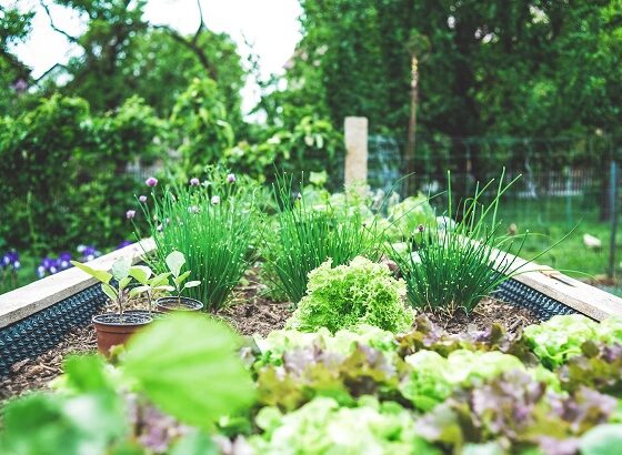 How to Make a Stylish Garden for House