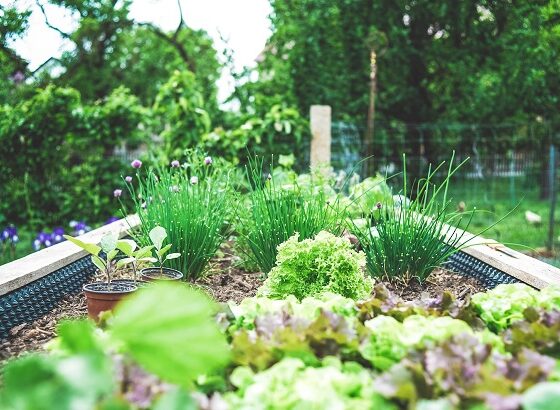 How to Make a Stylish Garden for House