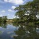 Mzima Springs
