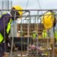 Construction workers